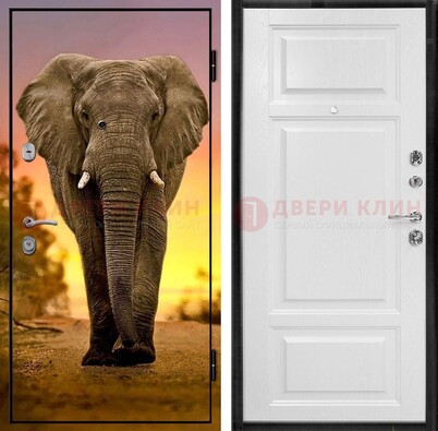 Металлическая дверь с фотопечатью слона ДФ-30 