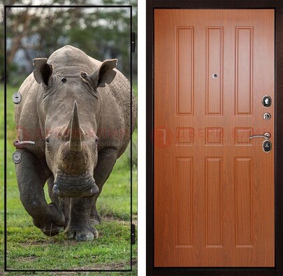 Металлическая дверь с фотопечатью носорога ДФ-31 в Домодедово