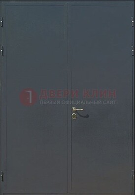 Двухстворчатая техническая дверь ДТ-5 в Кингисеппе